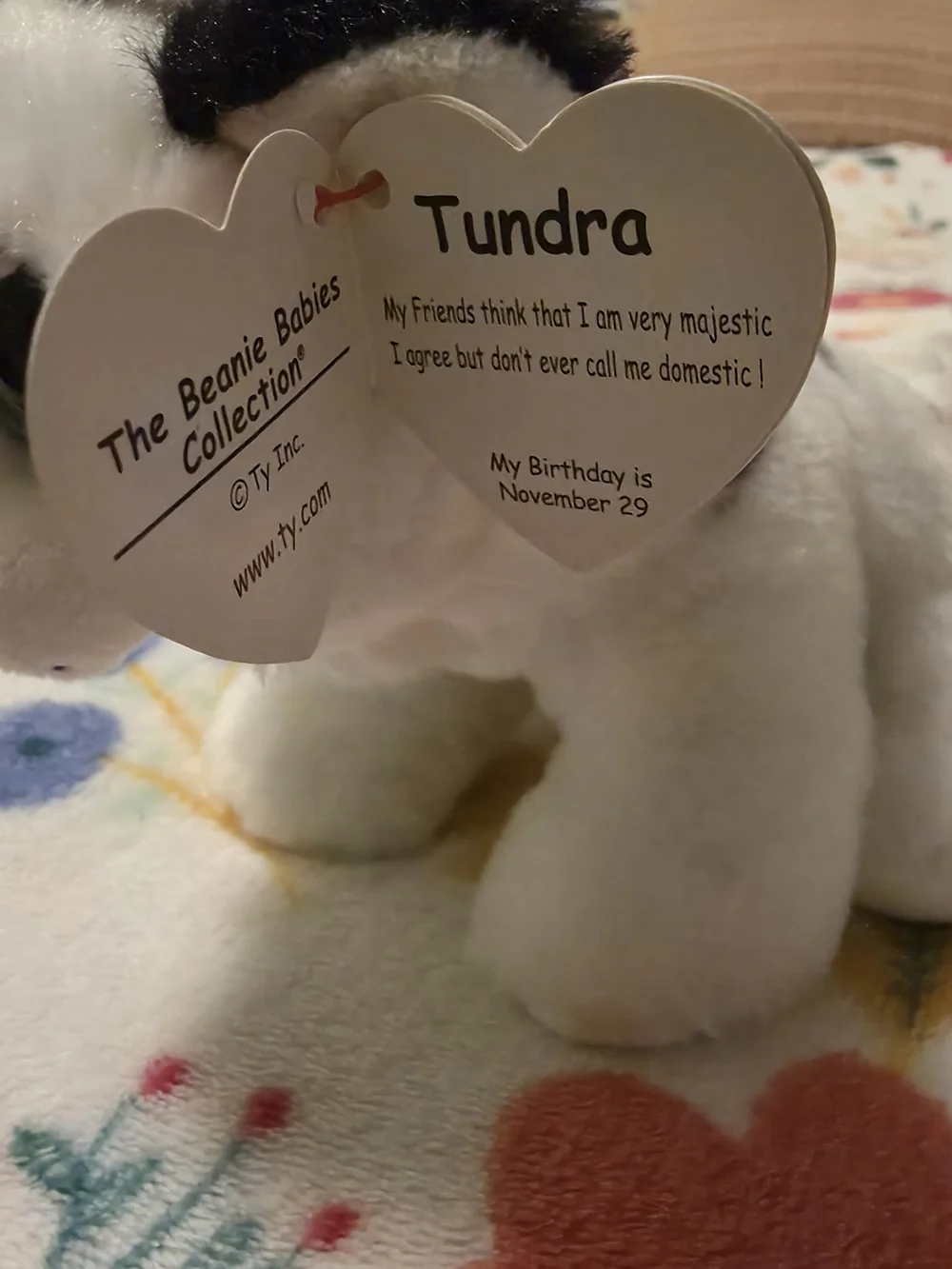 Ty adorable snow